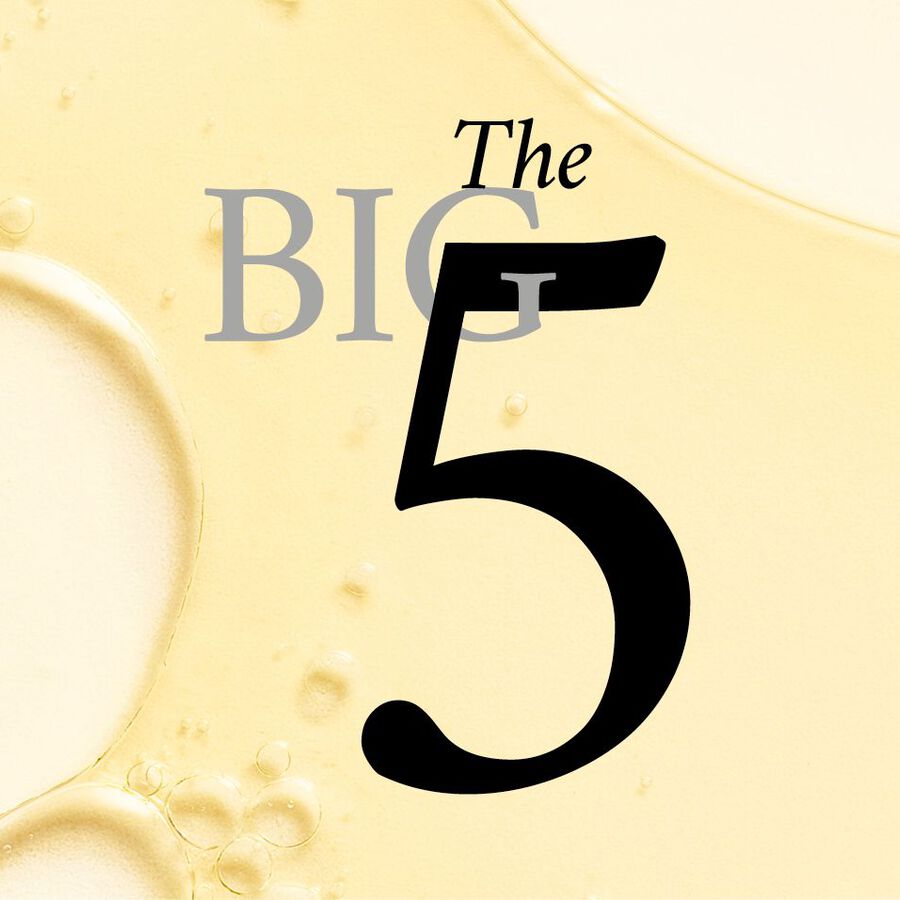 The Big 5 Skin Ingredients